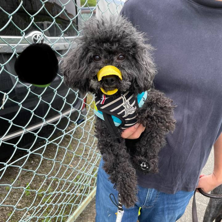 B3129dee c6c1 40cd a7f0 663ab7feb8b2 1651205768952