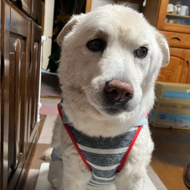 B312c39c d466 4b4d 9dc7 35c1ba9fc18d 1765755466414