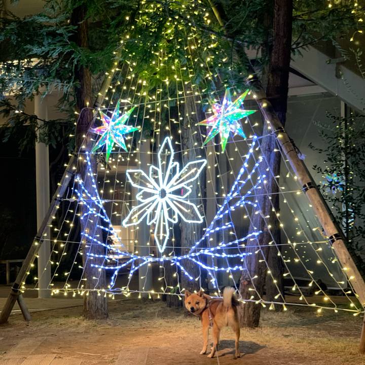 B312d028 0abe 458c 9cca e56eba518931 1765279044508