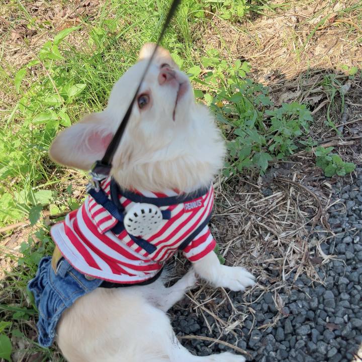 B312d7a0 3d41 480b 8957 264aa96f2875 1730617197140