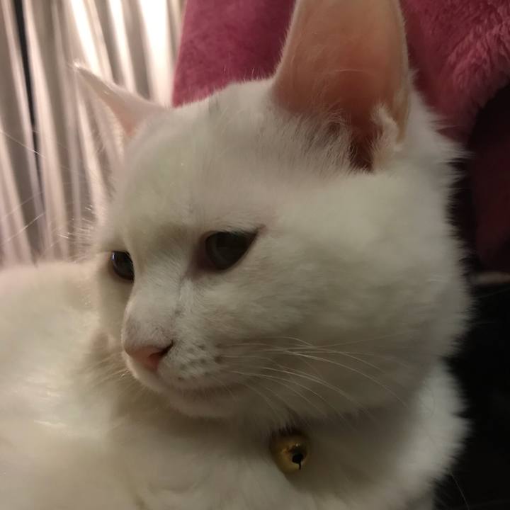 B312f9f8 34f6 4474 abcf af2752fa7aa8 1512041315267