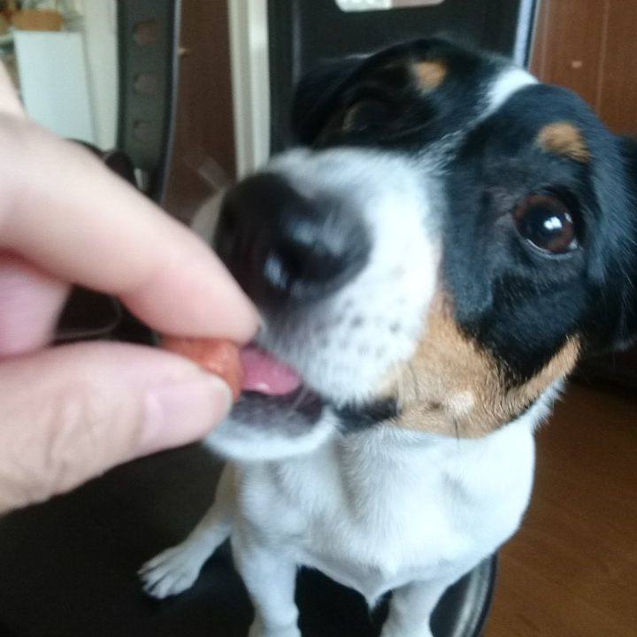 B313243c 7685 41f3 93d0 d6db856c5042 1528072553518