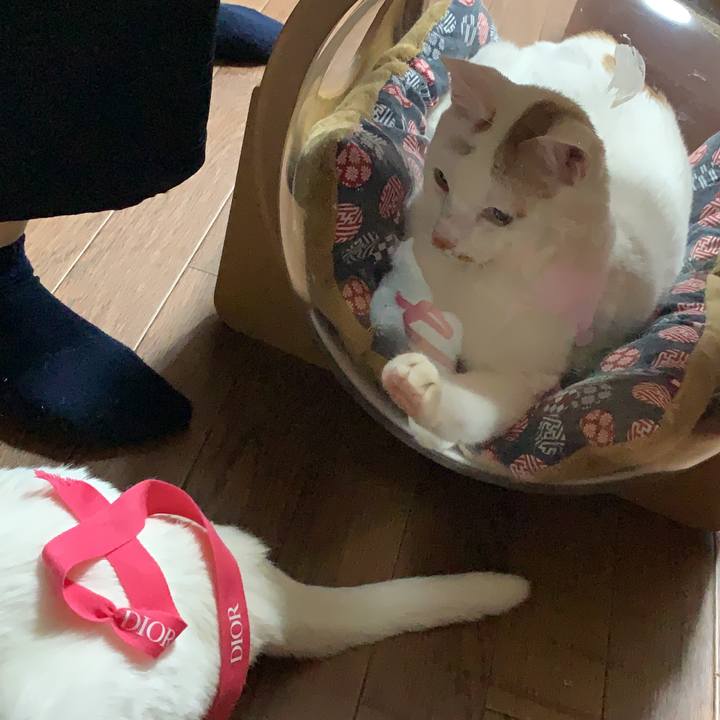 B3134dcd 6e11 4388 b742 57a0d39a074b 1616593562990