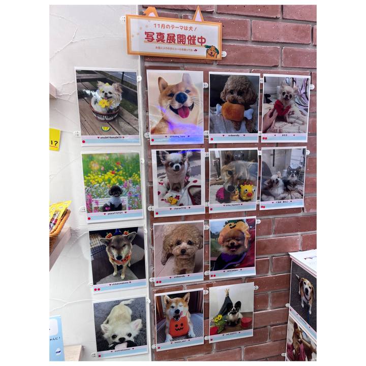 B31353e0 8703 4d8d afd7 f395a6fbb48a 1699859380221