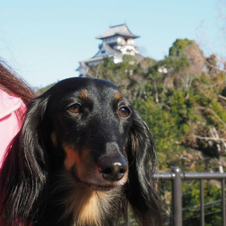 B3135e83 65b6 4dc9 915c 7199ff5cf644 1546496397639