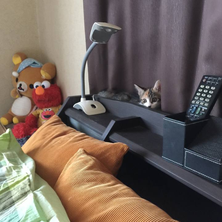 B3137007 2e99 4c52 8b69 f2e83301d496 1631690188567