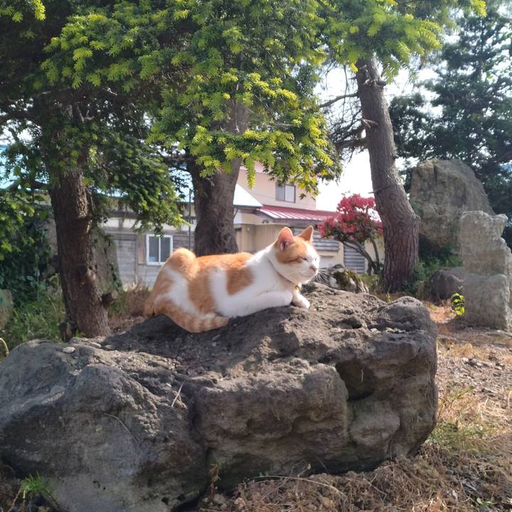 B313a5fd 4c29 41ba b6fe fbb6092de3ec 1748849119209