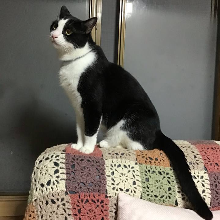 B313a7c3 b99b 496b 939b ec0ae0a325c9 1727431370956