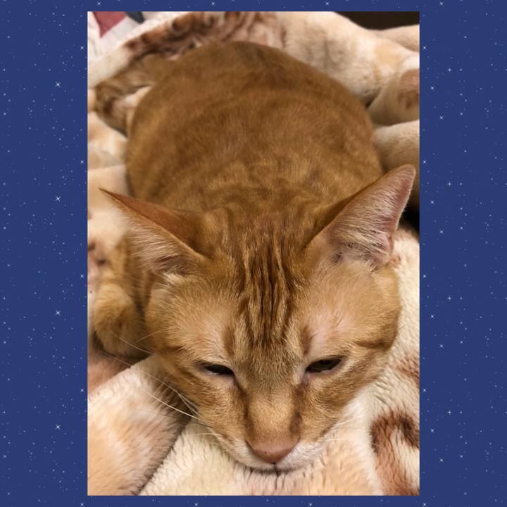 B313c7e9 432f 4546 9700 1e9726ff705d 1574852232740