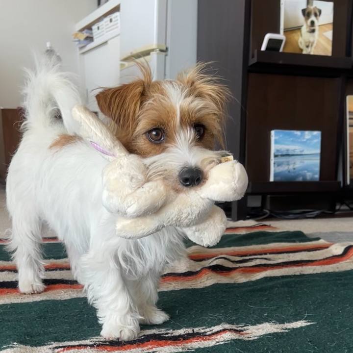 B313d900 ac39 4ba3 b8f9 7489af72c8b2 1776515892497