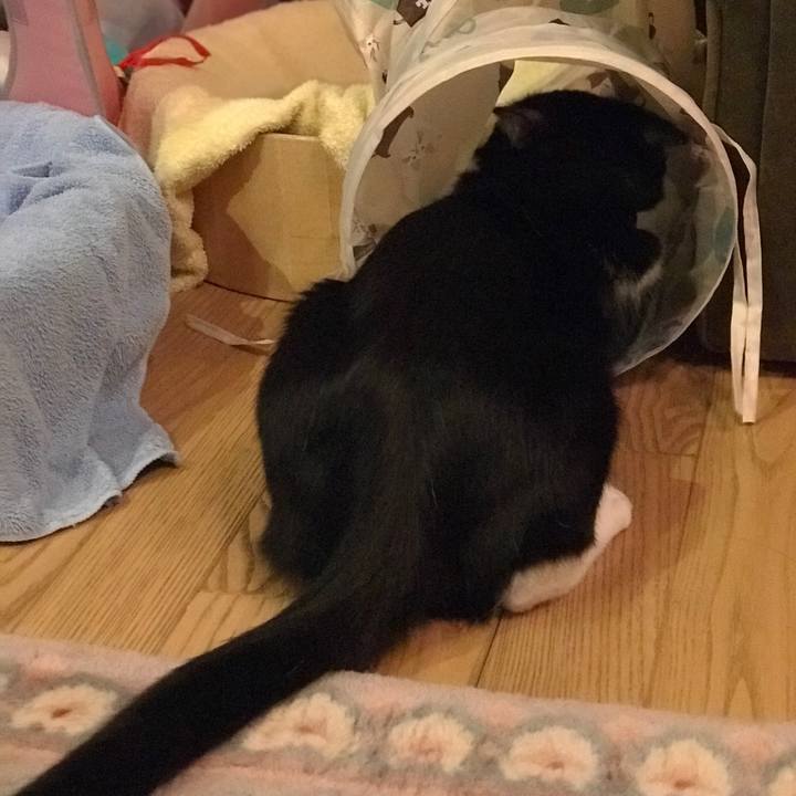 B313fe7b 5ea2 44e8 abdd f79354c98caa 1557906716426