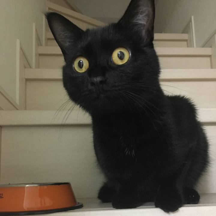 B3140da5 10e6 42e8 a204 c97ddd67cd90 1537584126463