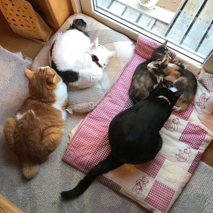 B3142001 c4dd 4874 8e03 56705ae02ef4 1598083396962