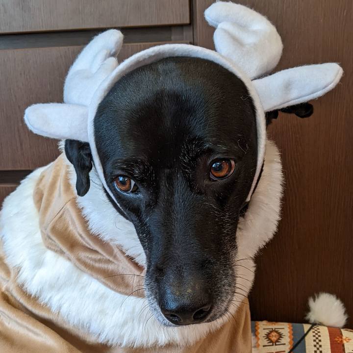 B3148431 94f3 4c14 b625 03cb2e5501ec 1703328633959