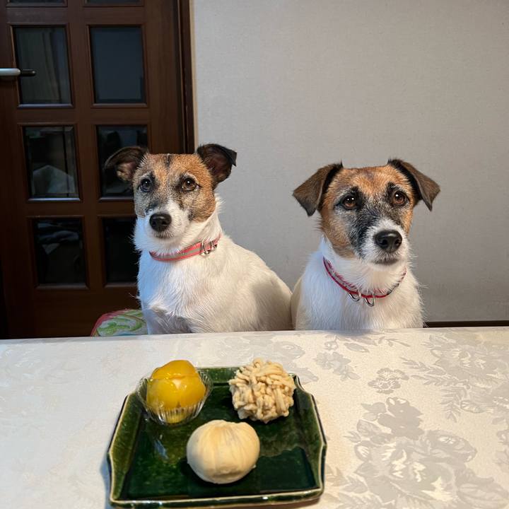 B314910f 1ac4 4451 ad29 31af651a9447 1665209529828