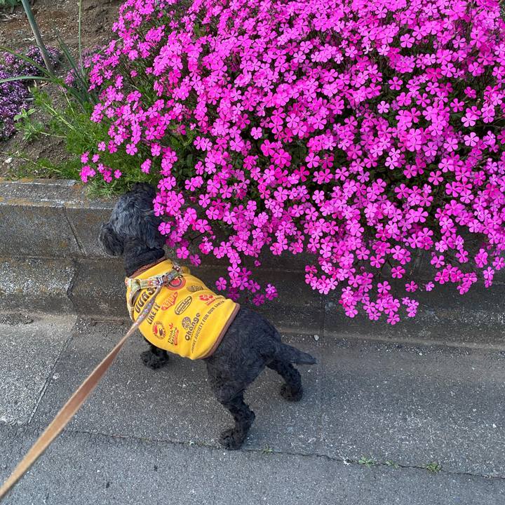 B314aa4e fab4 4a66 94bb fc8ace046b79 1585114611536