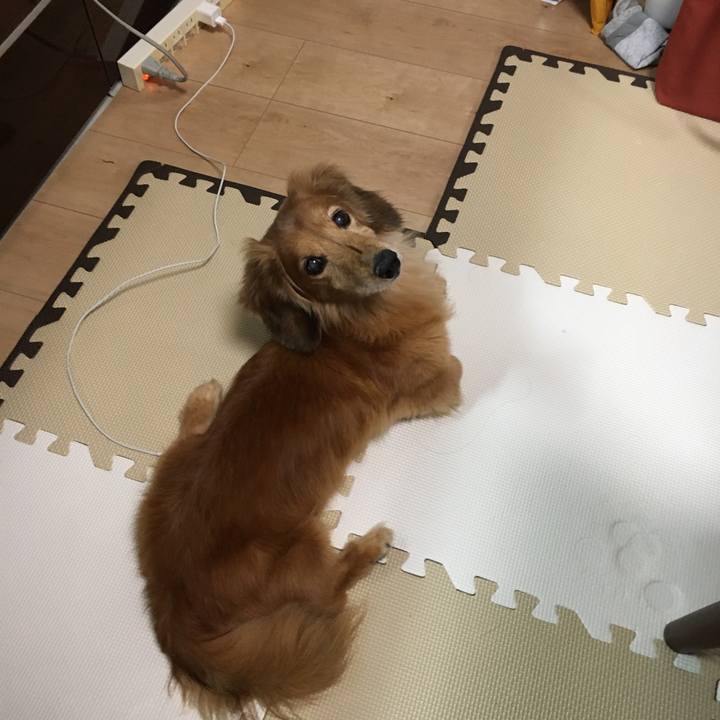 B314aad4 21e4 46a7 9c45 6cd260aa46de 1632576982954