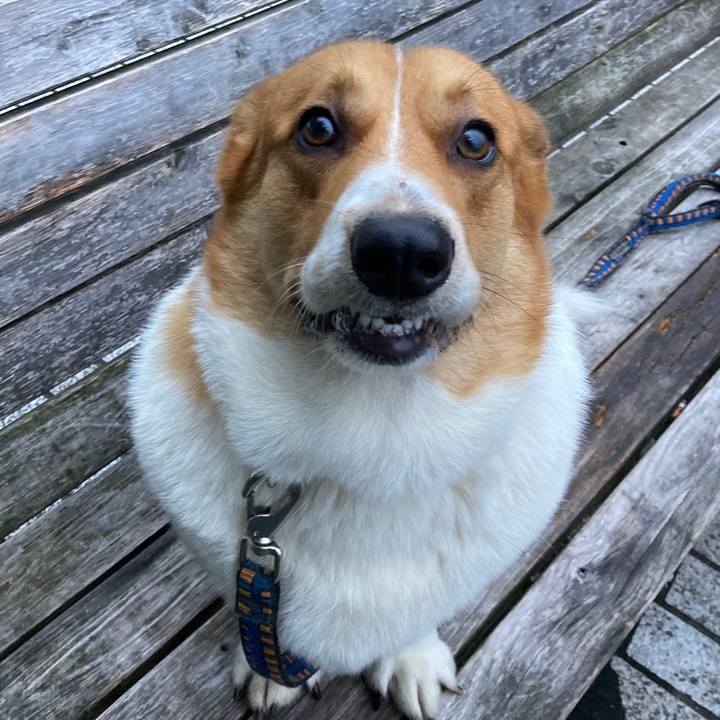 B3154fbf 4887 4f86 9f6a 57e0d747ac23 1659569789450