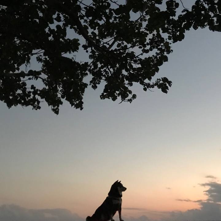 B31555cf faad 4253 9bd8 e0ae346ca818 1512379568064