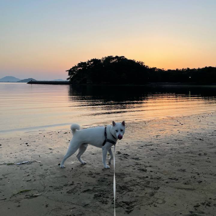 B315925a be40 4cad 8740 dda7bd58477e 1622372174937