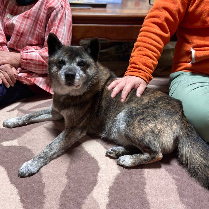 B315993d 15e8 4b6a 843c 40b294d7fcb2 1646393326165