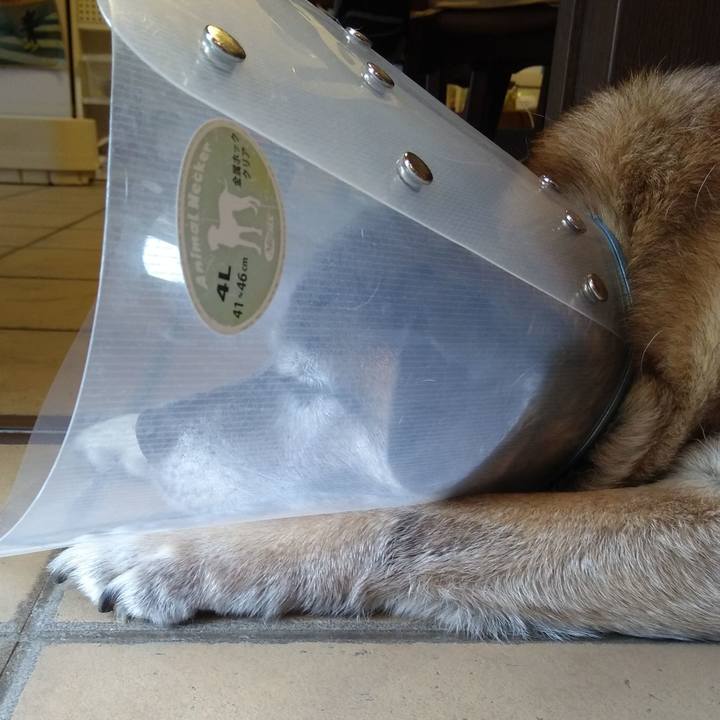 B315abbd 4c1b 4498 9510 b6f5123ac25d 1562677127238