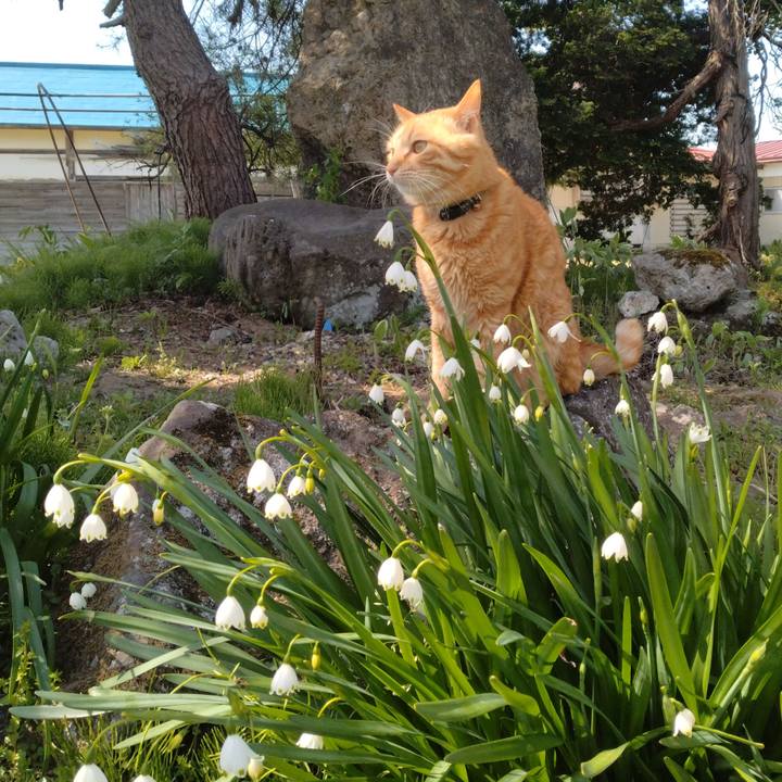 B315b097 1e0a 4d1a b9d0 e5ecdb23d050 1683159623911