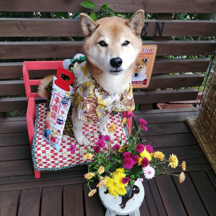 B315b61b e888 4a6a a6ec f800ee5efca9 1668316062539