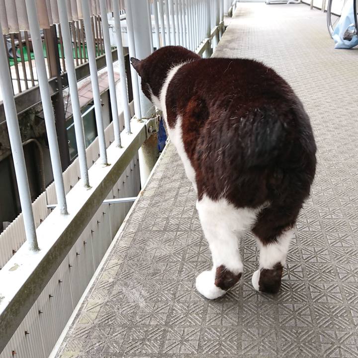 B315c44b 36c4 4530 b62a 8f3d9efe70bc 1654381313144