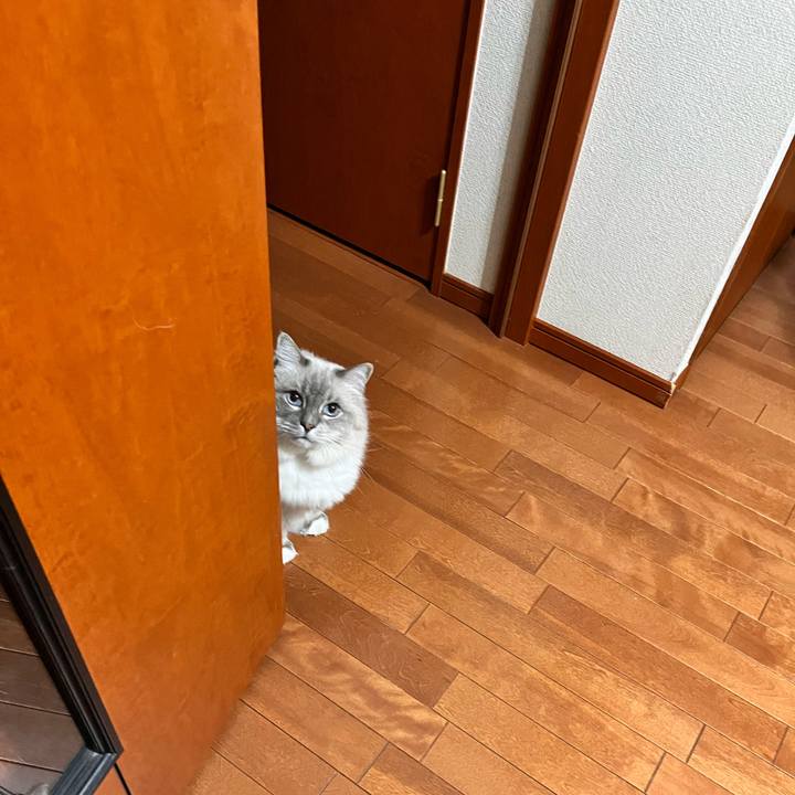 B315c811 00f2 4569 8ac9 5caeebbe3f1c 1667993260542