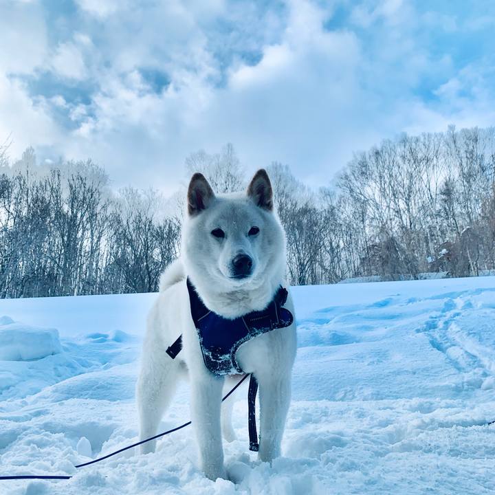 B315fb71 9a5a 480e 8c59 10736ceda071 1646352293738