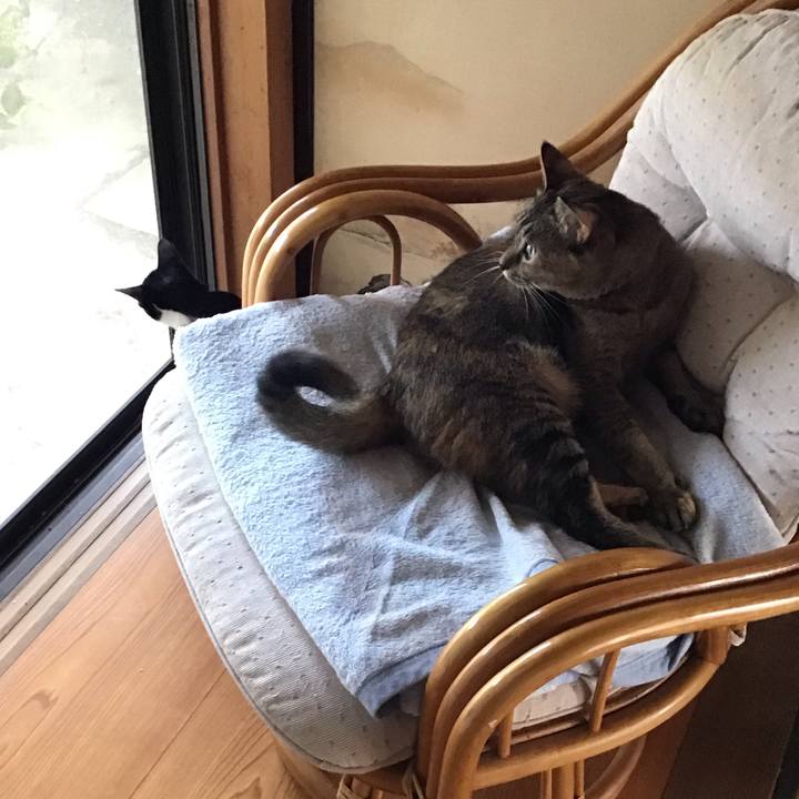 B315fe83 f482 4baa 9723 0097260c7220 1628070195669