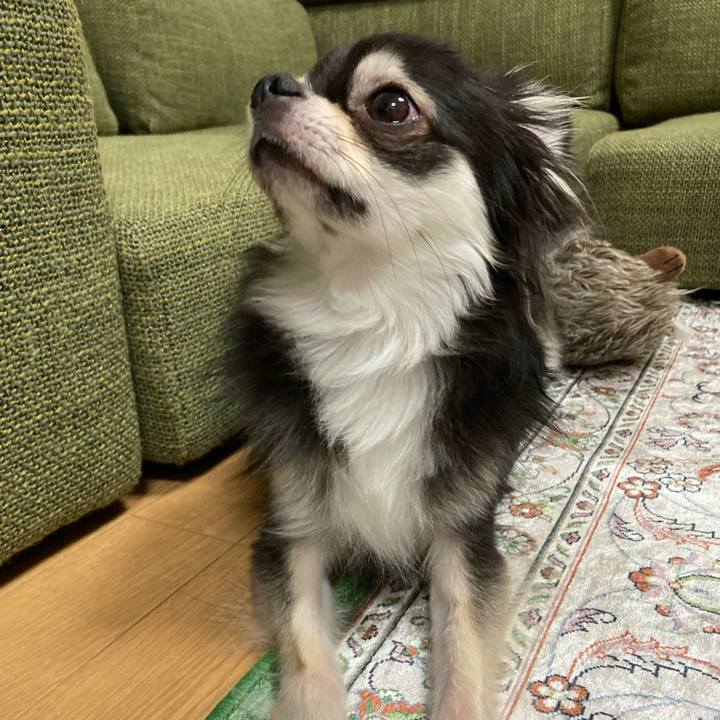 B31615f7 e69d 4083 8f86 30ab7337fb5b 1662901741204