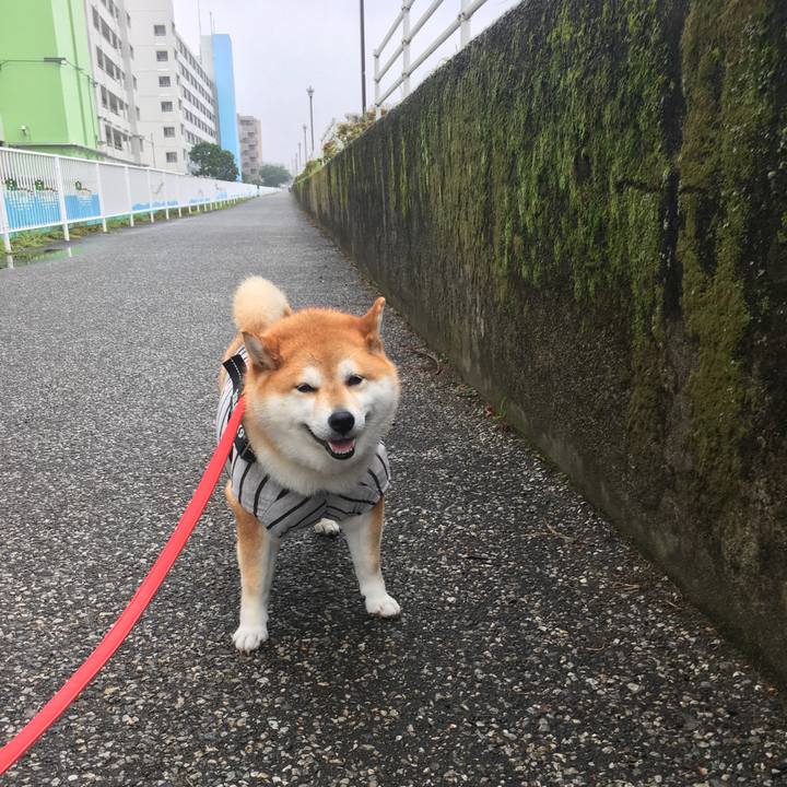 B31632ae 712b 4b8c a7a1 8990fc4b73a1 1594783945292