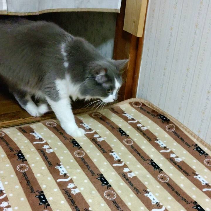 B31664d7 9d25 4def bbbd 50f1de9f8fbf 1601718096764