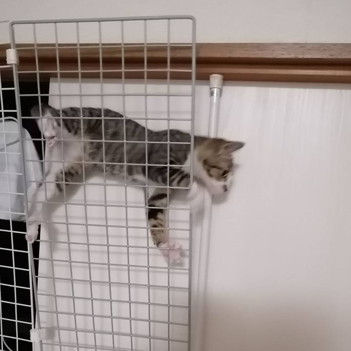 B31670e2 cc86 4ded aae6 cdbdb9a541c5 1661203627061