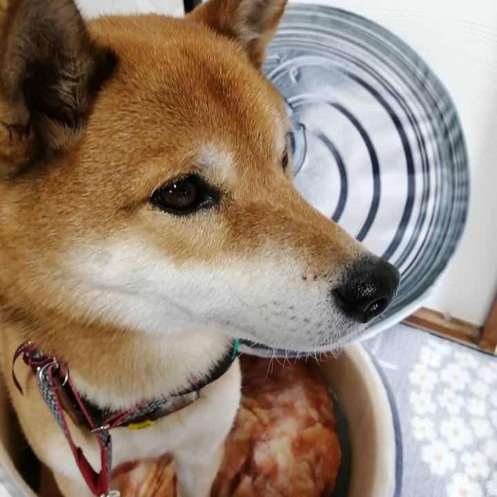 B3167b6e 2419 4741 bf13 273766a2ab4f 1607337058516