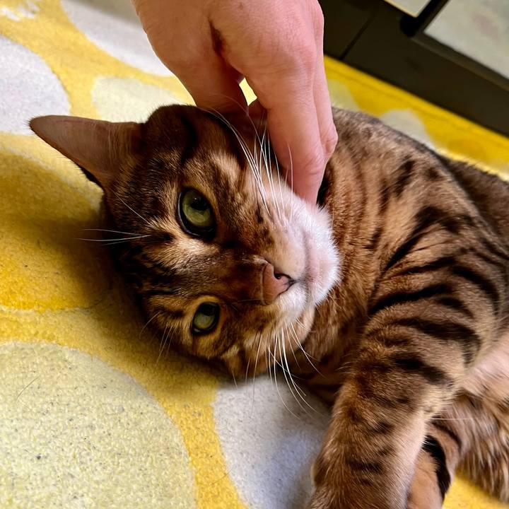 B316d444 e707 4412 a52f 589d315c1538 1667359210532