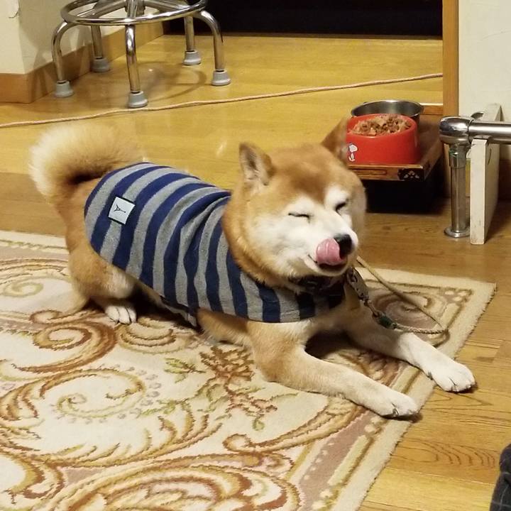 B31704a6 08fe 423b afa9 f933f3fb4629 1580810524380