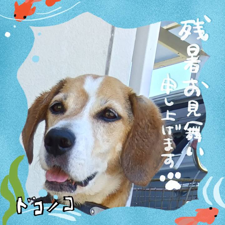 B31709d2 6092 4156 beb1 eb35e334251c 1723447188181