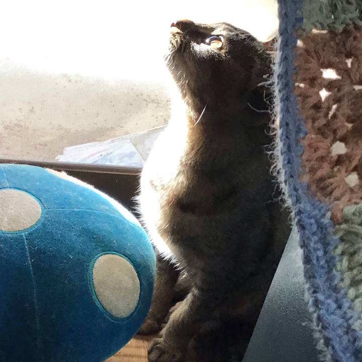 B3171a00 5984 4f61 b153 a8ed5eeac319 1573887541928