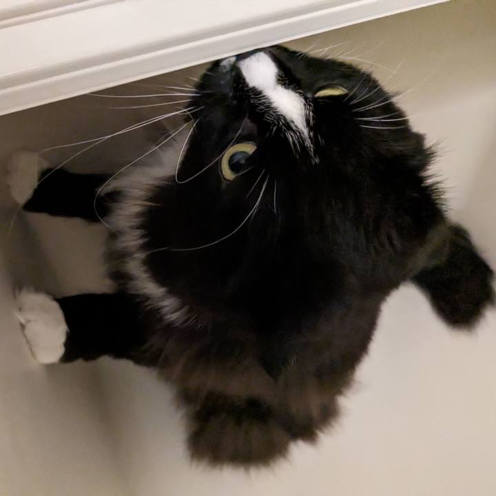 B3171b27 e7b2 477f 8f00 3eba28685a76 1708245484510