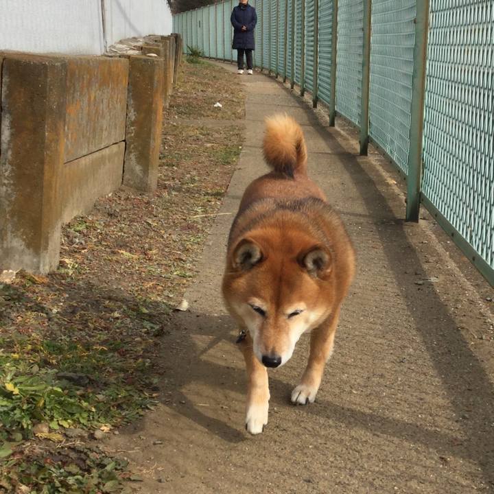 B3173292 5de2 4a85 a44a e75abf3e1655 1546746755051