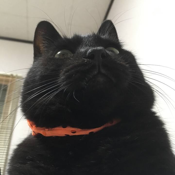 B31737c5 093a 46bb b3f4 cd816e01a9d4 1540560504938