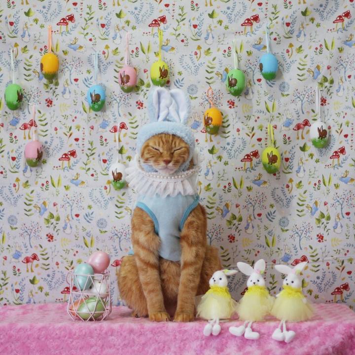 B317567c 1d63 4dee a9d8 9cb9bb9f850e 1680618863721