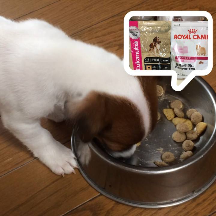 B3177ab9 ddb2 44a1 8291 d9f039ad4694 1510096679042