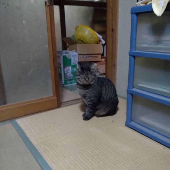 B317e908 b92f 4007 b319 0d223b3bf099 1669453743856