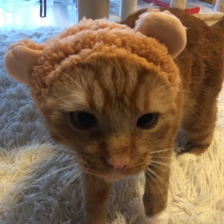 B317e972 2c08 41fa ace1 308a836bc5ad 1531733048987