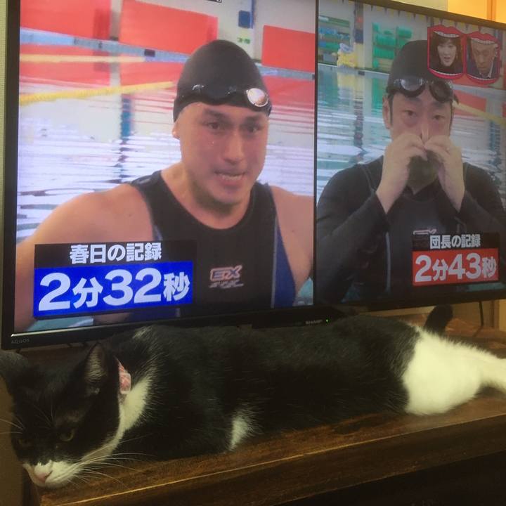 B3184a4a 13ac 4750 a9d1 81fb653b5ee8 1595424890330