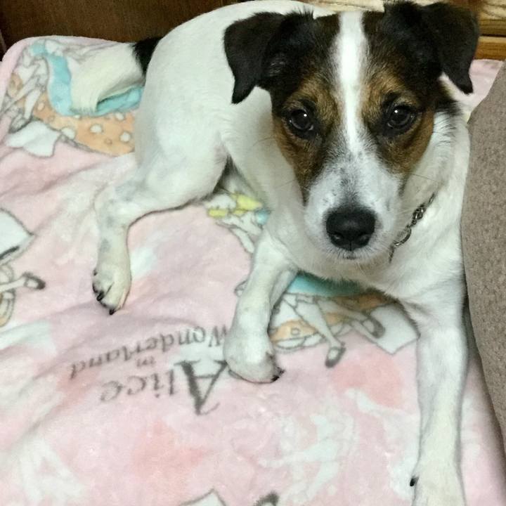 B3185322 bc1f 4f39 a7e1 1a14e4f3e724 1541746547469